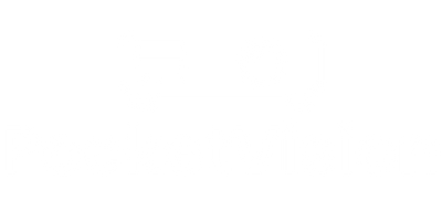 PocketVision